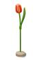 Preview: Wooden tulip in a wooden base, to stand, 34cm high, made in Holland, color: orange/white